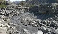 مرگ مادر، تنهایی نوزاد؛ ارمغان جاده‌های بشاگرد