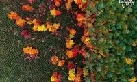 نتیجه علاقه به پاراگلایدر در عکس های هوایی خیره کننده