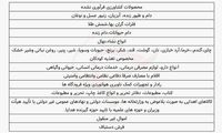 شوک پس از شوک؛ مالیات حتی از کالا‌های ضروری!