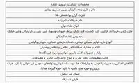 شوک پس از شوک؛ مالیات حتی از کالا‌های ضروری!