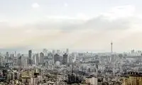 حمله 20میلیون موش به تهران بعد از یک اتفاق وحشتناک