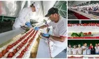 رکوردهای جالب و باورنکردنی گینس (48)