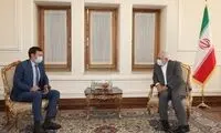 رئیس هیات اوکراینی با ظریف دیدار کرد