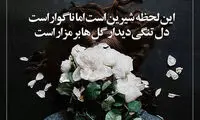 مینی شعر (266)