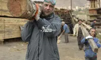 دورخیز خودسرها برای توقیف «آزاد به قید شرط»