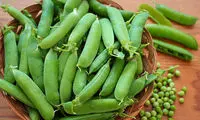 دیابتی ها این غذاها را در بهار بیشتر بخورند