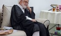 دیدار جمیله کدیور با کروبی و همسرش