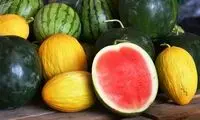 این افراد هرگز خربزه نخورند