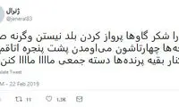 شوخی‌های جالب شبکه‌های اجتماعی؛ بری شیک میخورم!
