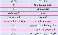 سفر به بوشهرِ شرجی در سرمای زمستان