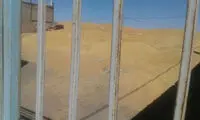 افشاگری درباره سوء‌استفاده مافیای گندم