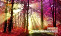 پرتوی نور از چه درست شده است؟