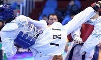 داغ طلای تکواندوی جهان بر دل ایران ماند