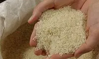 قیمت برنج از چه زمانی کاهش پیدا می‌کند؟