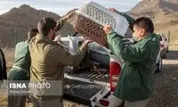 رهاسازی پرندگان شکاری در پلنگ دره