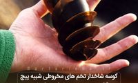 دانستنی‌های جالب؛ از زوج آدمخوار تا تخم عجیب کوسه شاخدار!