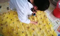 طراحی یک لباس خاص با ۶ هزار برگ