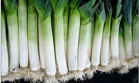 تره ‌فرنگی بخورید تا سرطان نگیرید