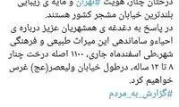 خیابان ولیععصر «چنار» دار می‌شود