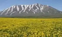 مراغه پایتختی ناشناخته