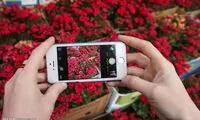 عکس: بازار گل وگیاه تهران