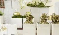 چطور آشپزخانه سبز داشته ‌باشیم؟
