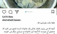 تکذیب استفاده مردم یک روستا از گوشت گربه