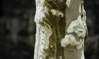 ژنو یخ زده +عکس