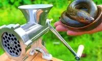 اگر مارماهی را داخل چرخ گوشت بیندازید، چه اتفاقی می‌افتد؟