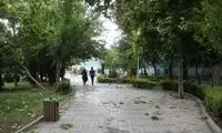 هواشناسی استان تهران اطلاعیه داد
