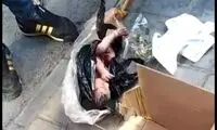 اعلام آمار «نوزادان رها شده» در تهران