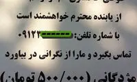مژدگانی نیم‌ میلیونی برای یک طوطی!