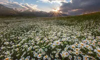 ایرانِ زیبای ما (47)