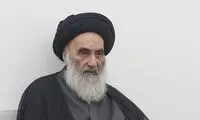 سیستانی پیوند کلیه خوک به انسان را جایز دانست