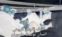 کشف قاچاق گروهی انسان در گمرک
