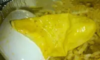 پیدا شدن دستکش در غذای ایرلاین داخلی!