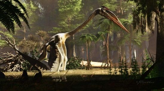 بزرگترین جانور پرنده تاریخ با ۱۲متر طول بال