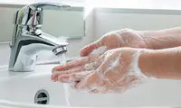 ۷ عضو بدن که همیشه آن‌ها را اشتباه می‌شویید؛ از گوش تا ناف