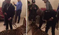 ورود بوکسور جنجالی به هتل با دو ببر!
