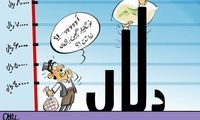 کاریکاتور: رشد قیمت برنج ...!