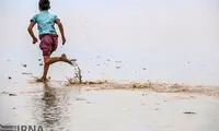 «هامون» جان دوباره گرفت