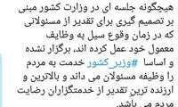 مشاور وزیر کشور تکذیب کرد: در جریان سیل از کسی تقدیر نشده