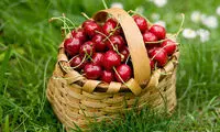 خواص فوق‌العاده گیلاس و آلبالو
