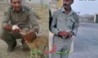 شلیک شکارچیان به قلب 2 محیط بان