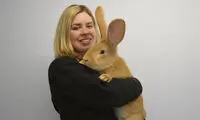 خرگوش غول پیکر به دنبال صاحب جدید!