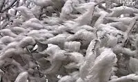 این تصاویر را ببینید و حیرت کنید!