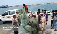 توقیف ۴فروند قایق صیادی غیرمجاز در کیش