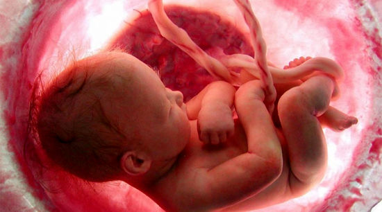 خلق جنین مصنوعی از سلول‌های بنیادی