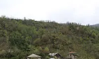 سفری زیارتی و سیاحتی به مشهد