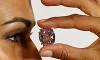 ستاره صورتی رکورد شکست +عکس